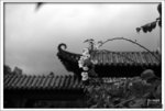 Scan-100822-0019