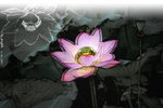 PNG0038