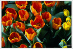 Scan-110312-0002