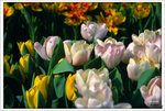 Scan-110312-0003