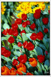 Scan-110312-0004