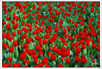 Scan-110312-0005