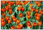 Scan-110313-0001