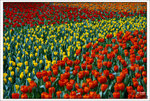 Scan-110313-0002