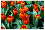 Scan-110313-0003
