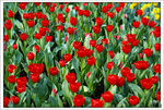 Scan-110313-0004