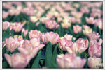 Scan-110313-0006