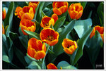 Scan-110313-0013