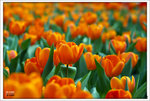 Scan-110313-0015