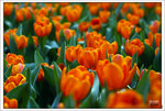 Scan-110313-0016