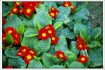 Scan-110313-0017