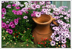 Scan-110314-0001