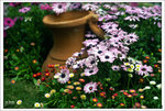 Scan-110314-0002