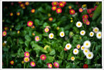 Scan-110314-0004