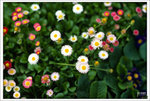 Scan-110314-0006