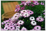 Scan-110314-0007