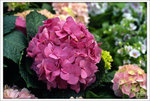 Scan-110314-0008