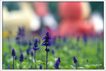 Scan-110314-0009
