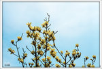 Scan-110314-0011