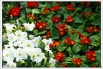 Scan-110314-0012