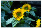 Scan-110314-0014