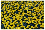 Scan-110314-0020