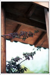 Scan-110315-0002