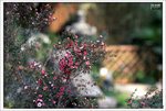 Scan-110315-0003