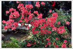 Scan-110315-0004
