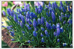 Scan-110315-0007