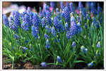 Scan-110315-0008