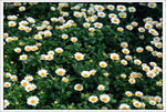 Scan-110316-0002