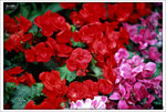 Scan-110316-0003