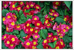 Scan-110316-0005