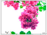 _DSF0063