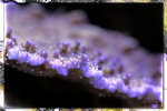 PNG0053