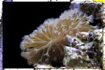 PNG0061