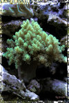 PNG0064