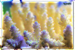 PNG0194