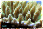 PNG0220