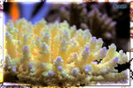 PNG0226