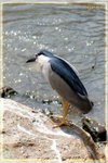 PNG0043a