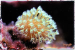 PNG0193