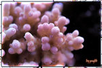 PNG0206
