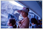 scan0011