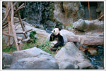 scan0016