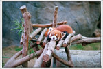 scan0017