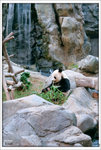 scan0019