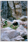 scan0020