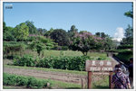 20Jun11scan0001